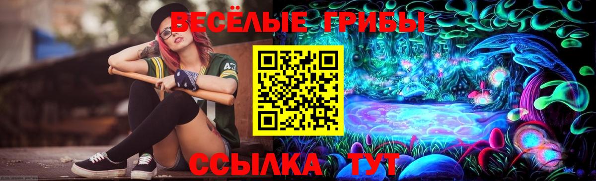 Галлюциногенные грибы Psilocybine cubensis Кингисепп