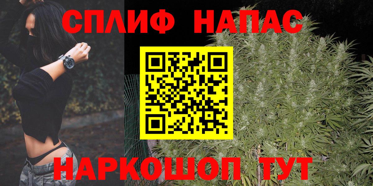 Каннабис планчик Кингисепп
